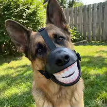 Doggy Smile