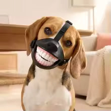 Doggy Smile