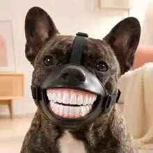 Doggy Smile